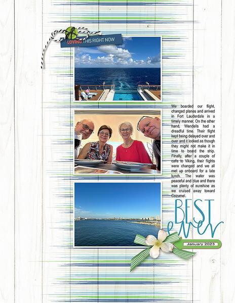 Sample Layout from the Gallery