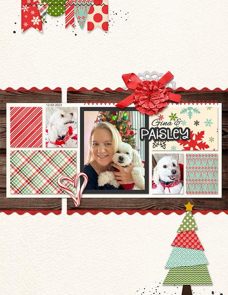 Sample Layout from the Gallery