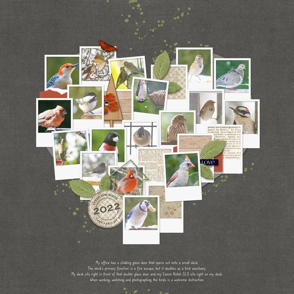 Digital Scrapper Premier 2023, Volume 6