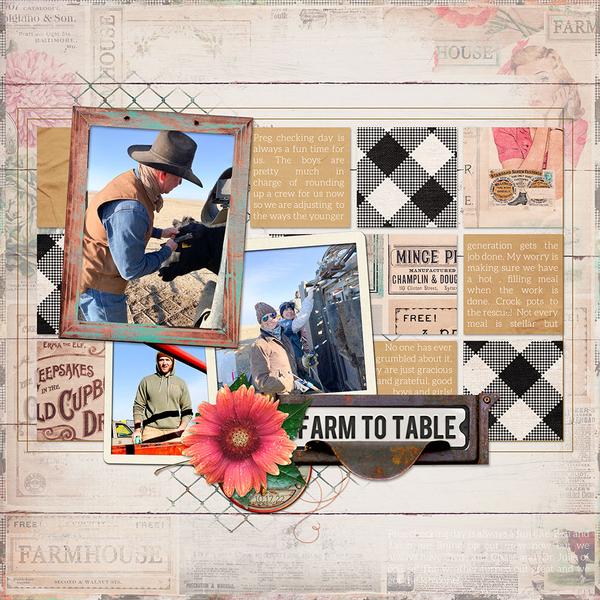 Sample Layout from the Gallery