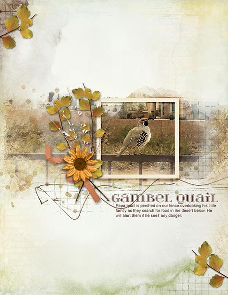 Sample Layout from the Gallery