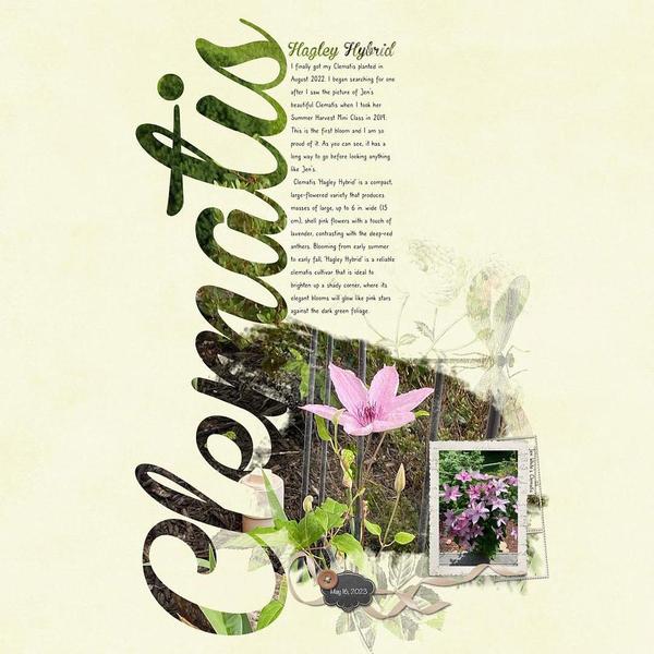 Sample Layout from the Gallery