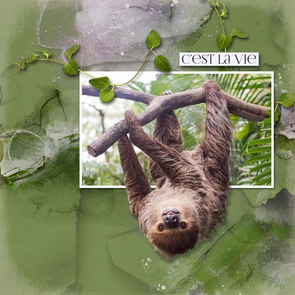 Sample Layout from the Gallery