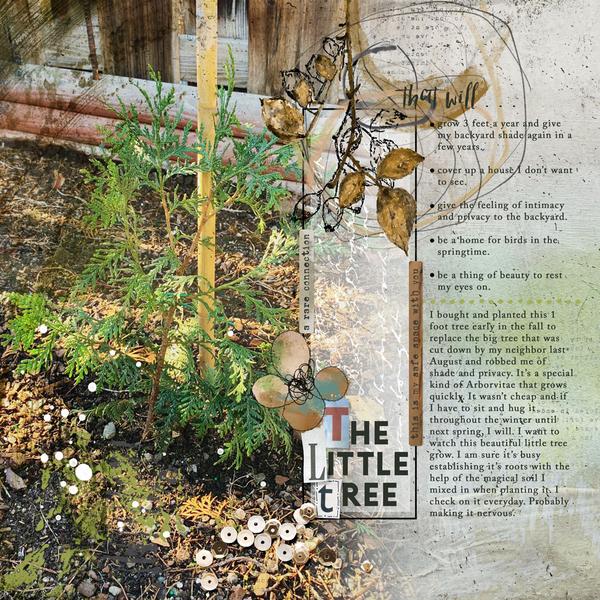 Sample Layout from the Gallery