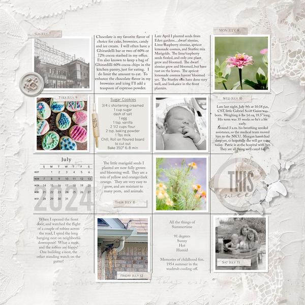 Sample Layout from the Gallery