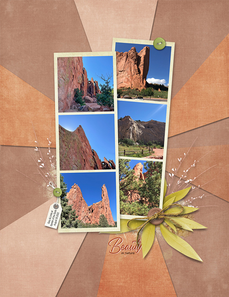 Sample Layout from the Gallery