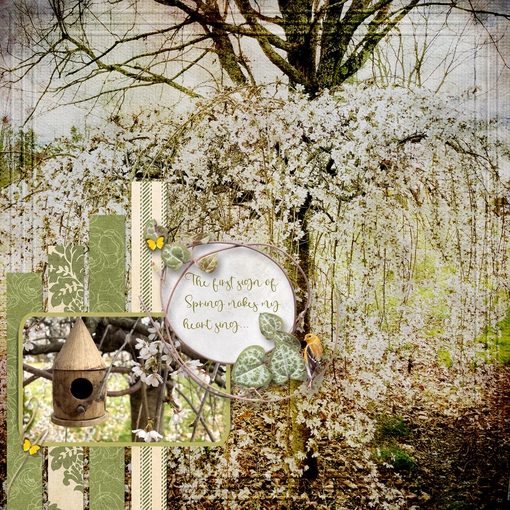 Sample Layout from the Gallery