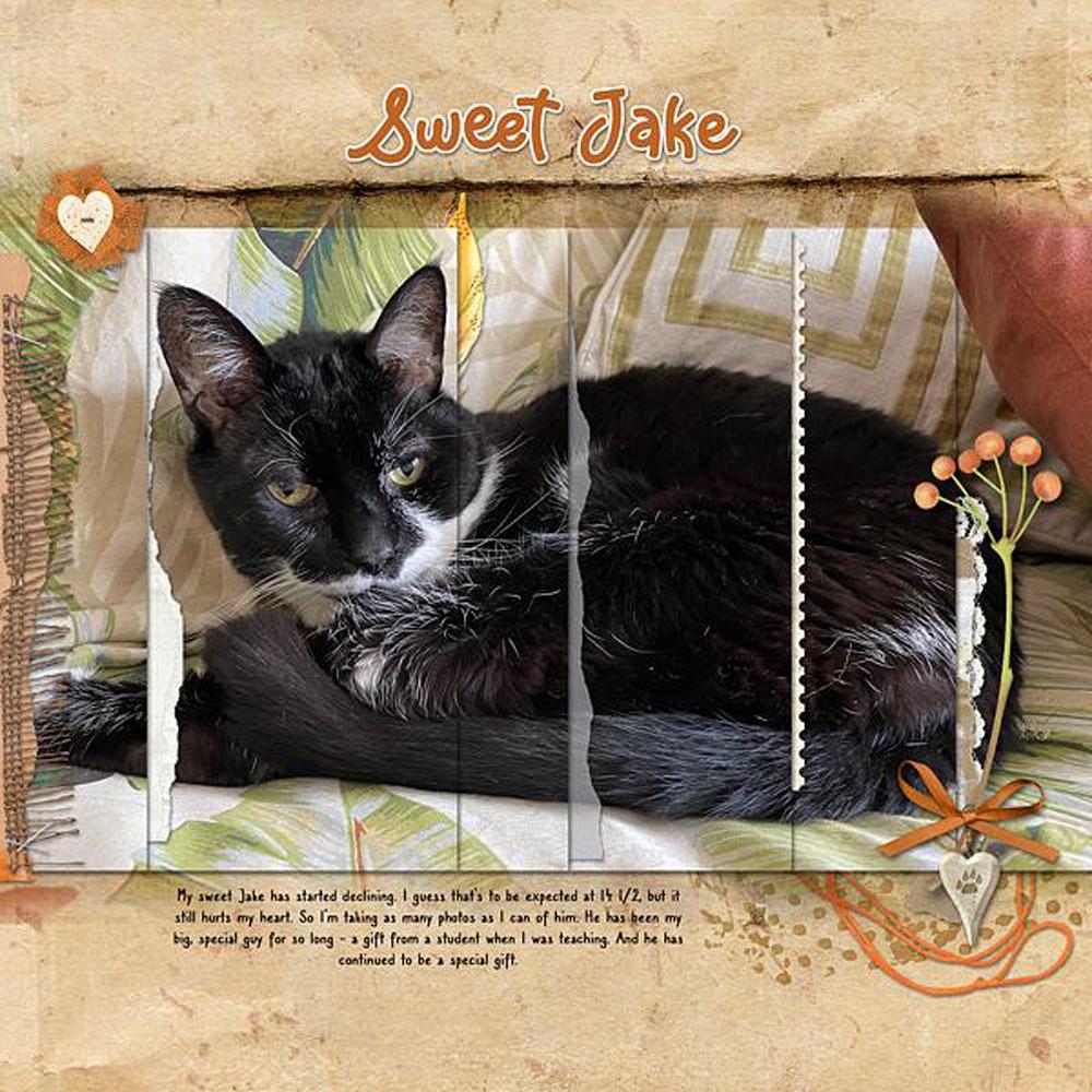 Sample Layout from the Gallery