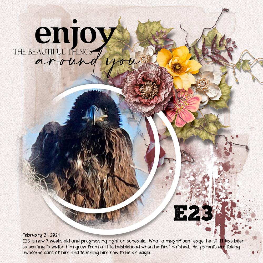 Sample Layout from the Gallery