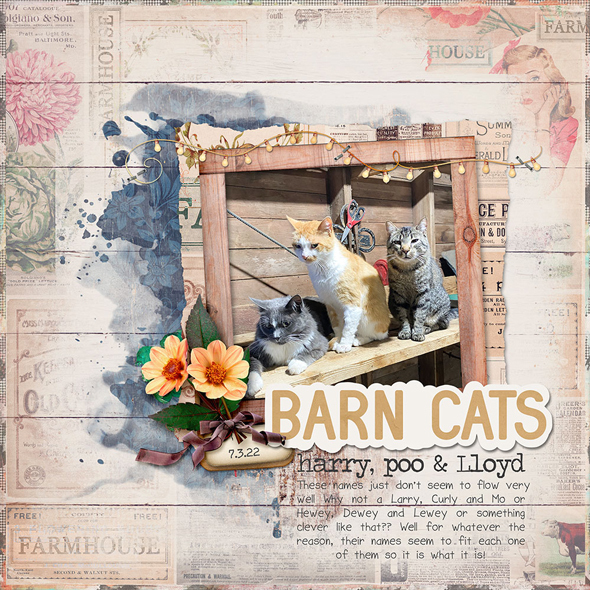 Sample Layout from the Gallery