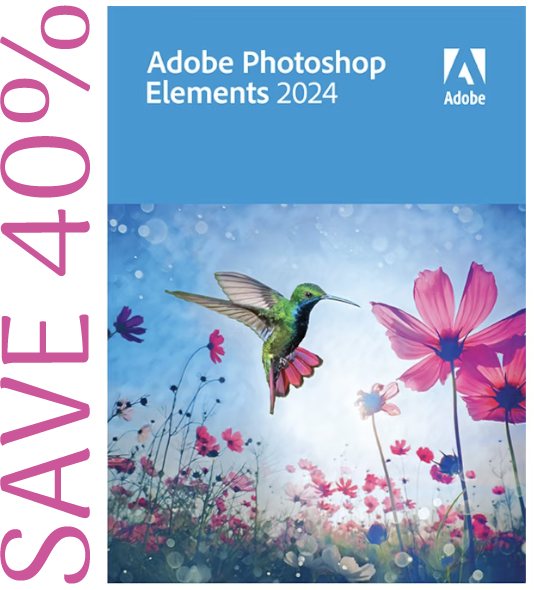 description of image