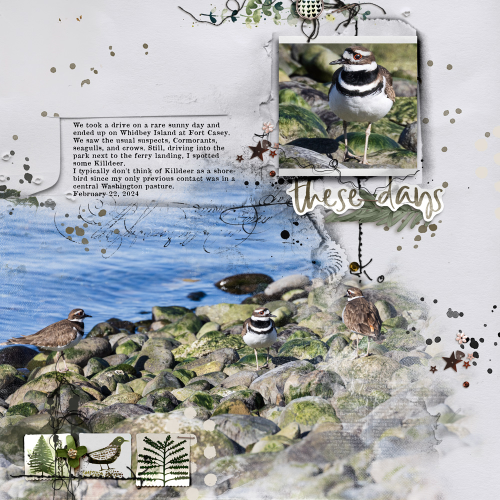 Sample Layout from the Gallery