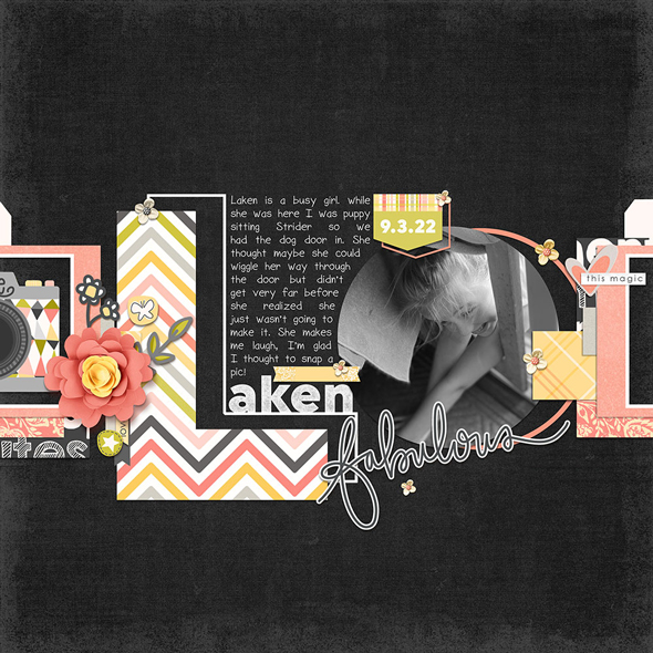 Sample Layout from the Gallery