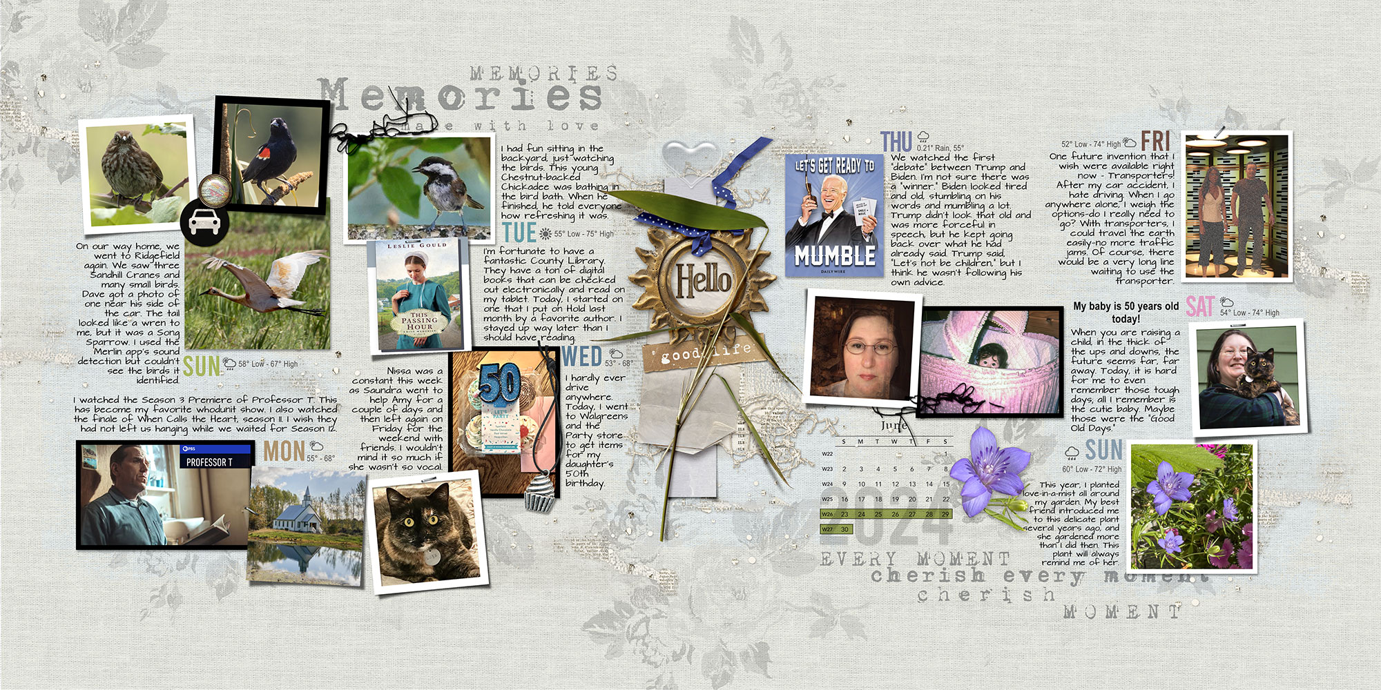 Sample Layout from the Gallery