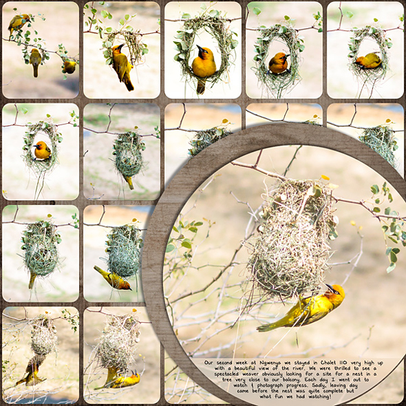 Sample Layout from the Gallery