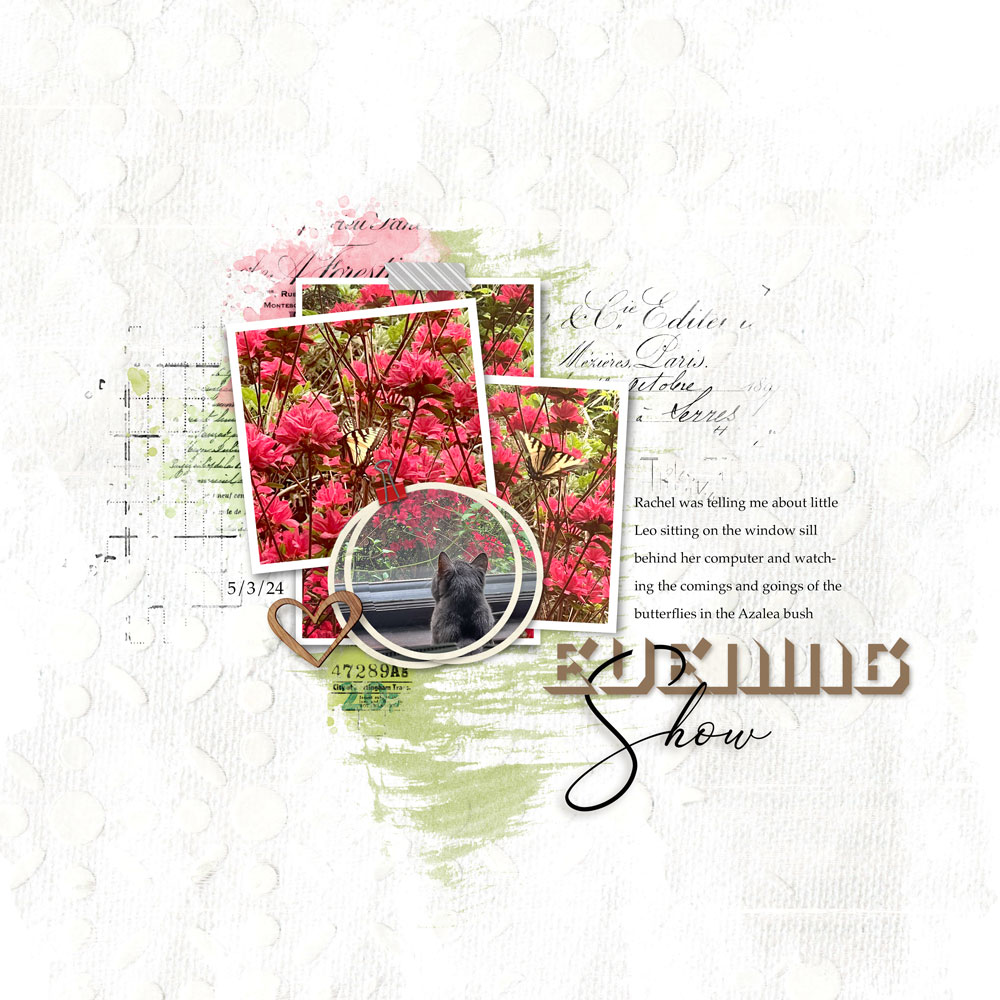 Sample Layout from the Gallery