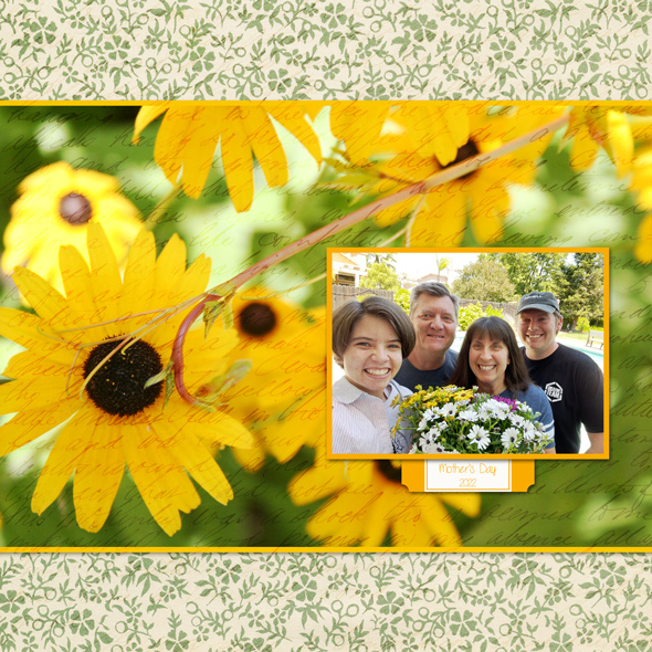 Sample Layout from the Gallery