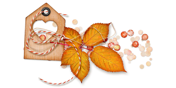 Cluster Challenge Image