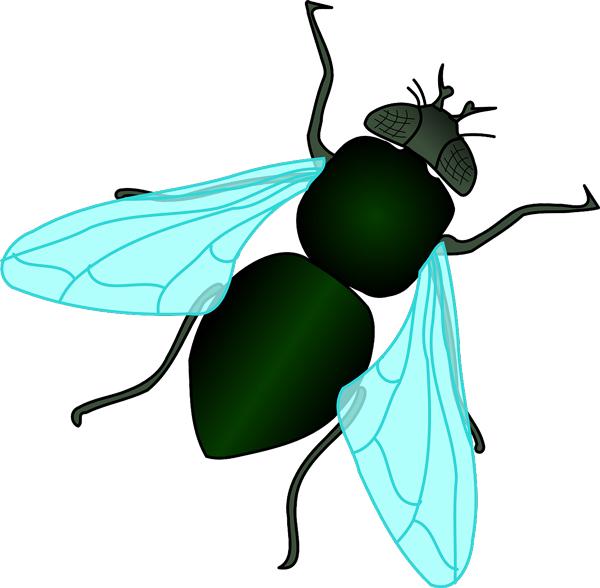 description of image