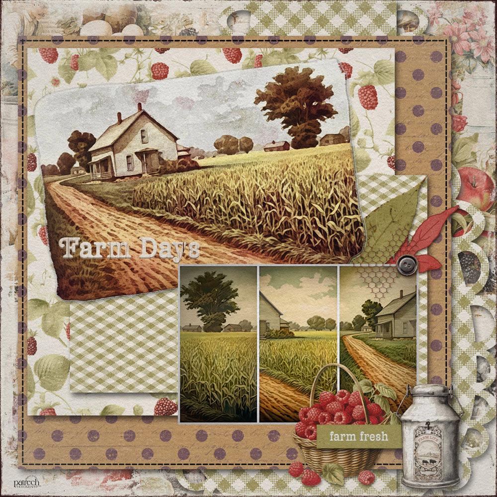 Sample Layout from the Gallery
