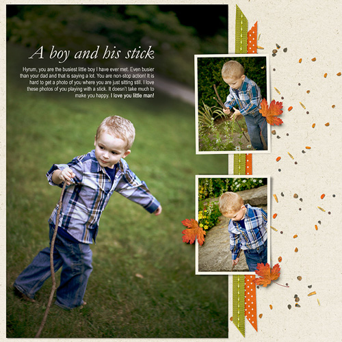  Golden Fall Photos by Nannette Dalton