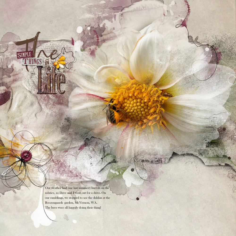 Sample Layout from the Gallery