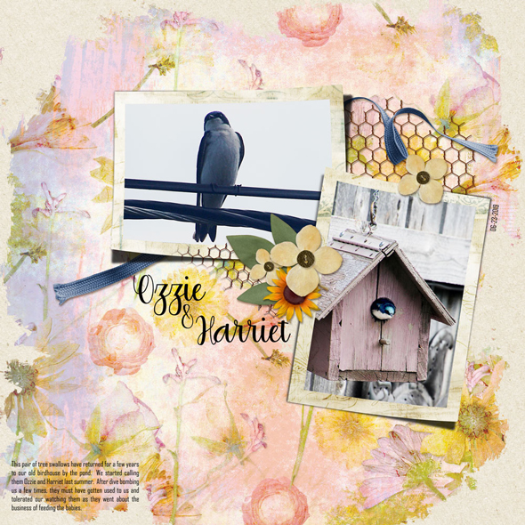 Sample Layout from the Gallery