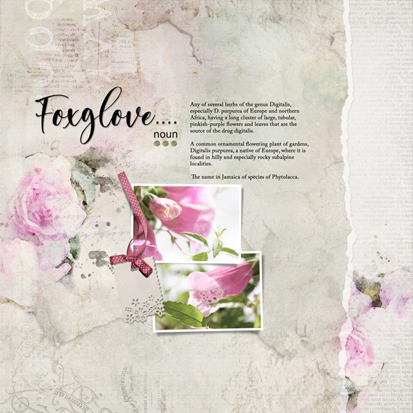 Sample Layout from the Gallery