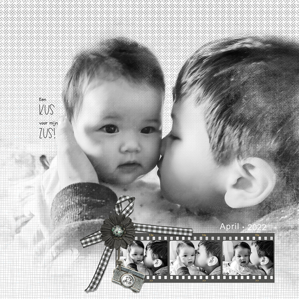 Sample Layout from the Gallery