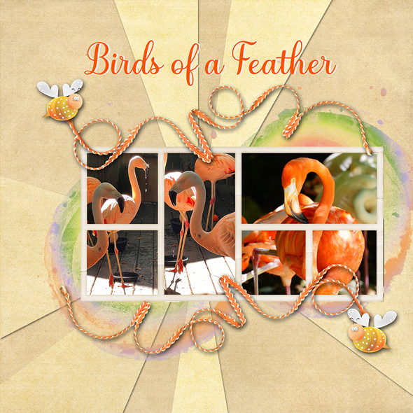 Sample Layout from the Gallery