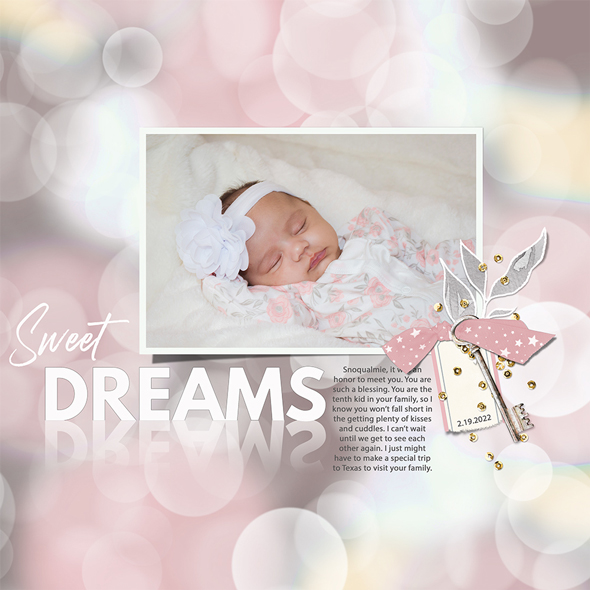 Sample Layout from the Gallery