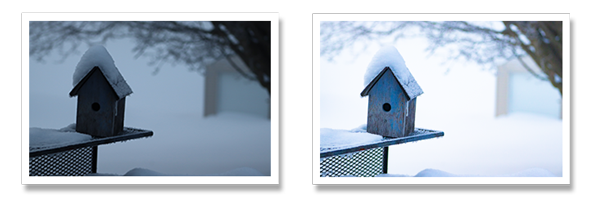 Camera Raw Adjustment