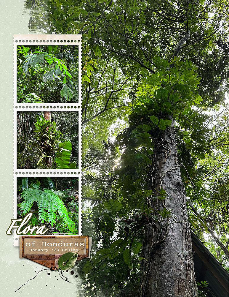 Sample Layout from the Gallery