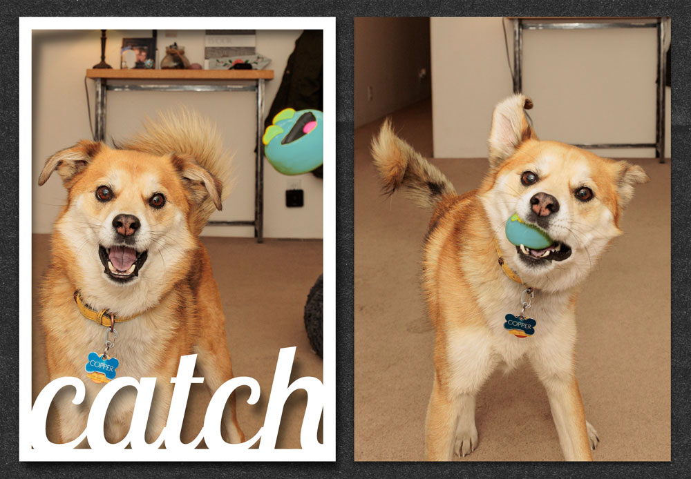 Learn More & Save 50%