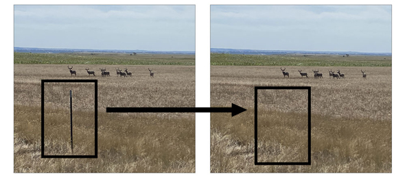 Sample page with a problem