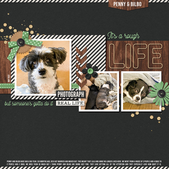 Sample Layout from the Gallery