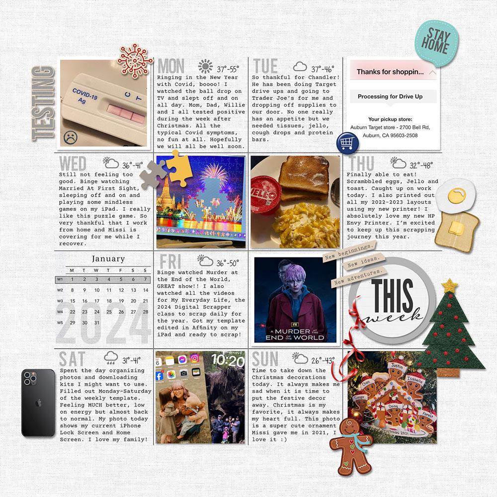 Sample Layout from the Gallery