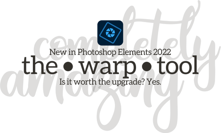 Should I Upgrade to PSE 2022