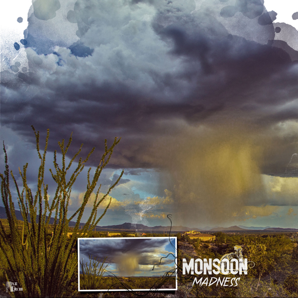 Sample Layout from the Gallery