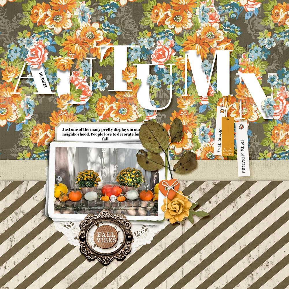 Sample Layout from the Gallery