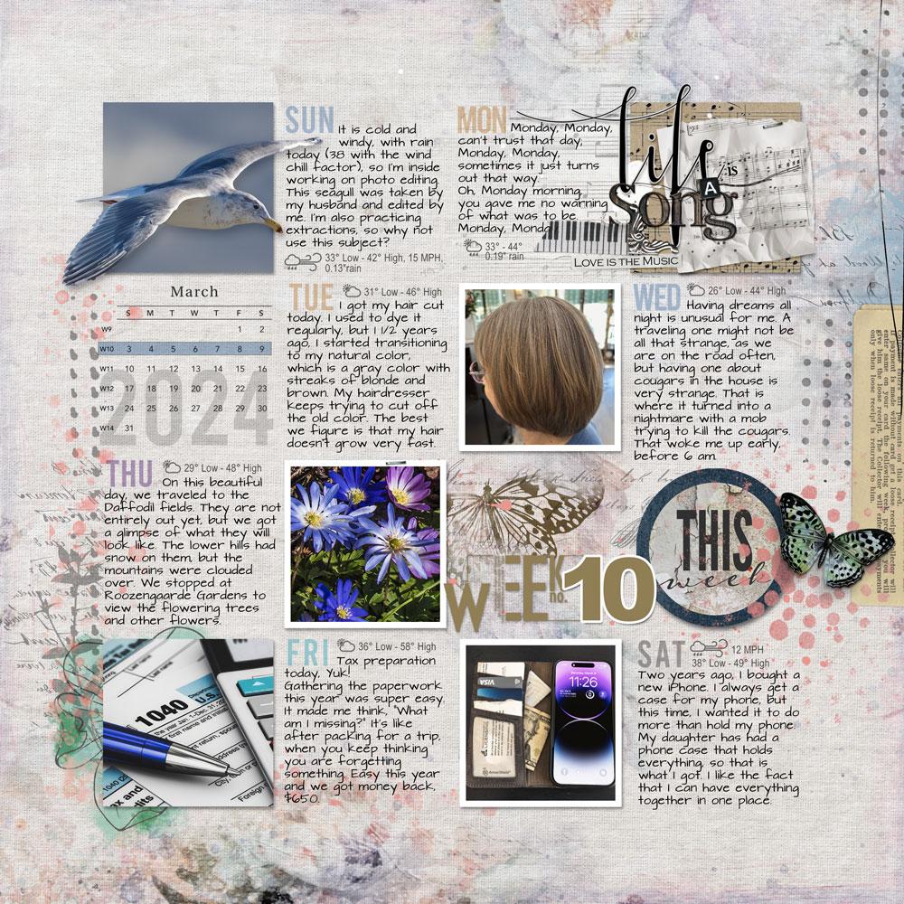 Sample Layout from the Gallery