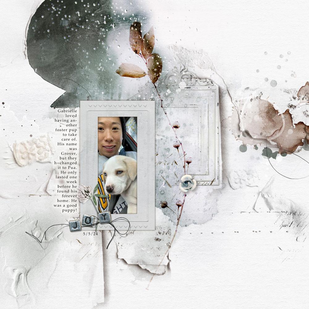 Sample Layout from the Gallery