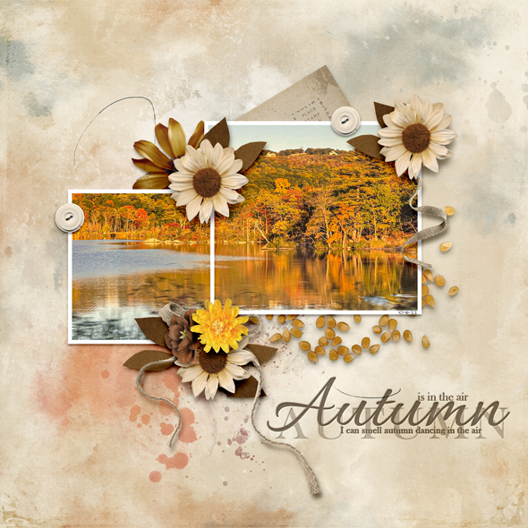 Sample Layout from the Gallery