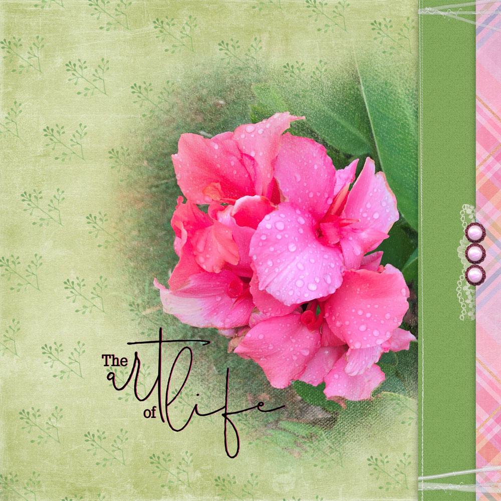 Sample Layout from the Gallery
