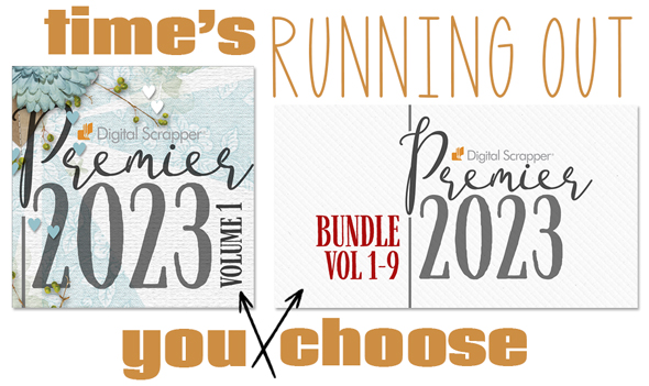 Premier Bundle Options