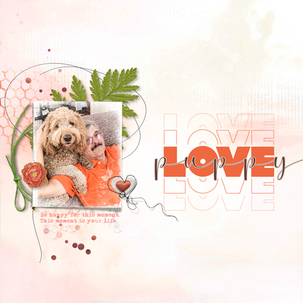 Sample Layout from the Gallery