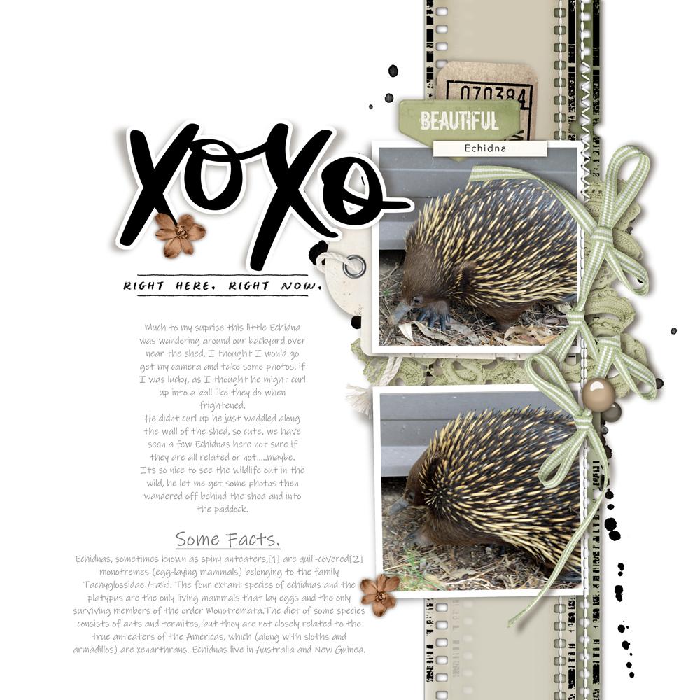Sample Layout from the Gallery
