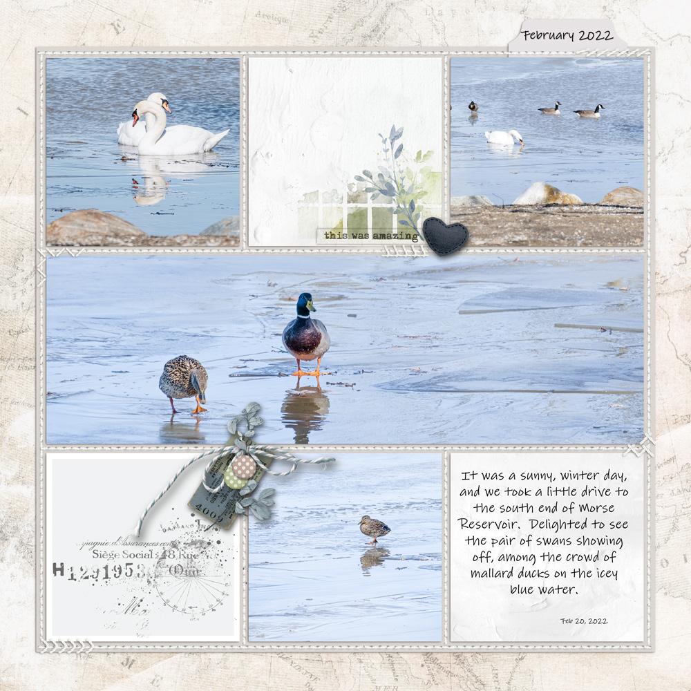 Sample Layout from the Gallery