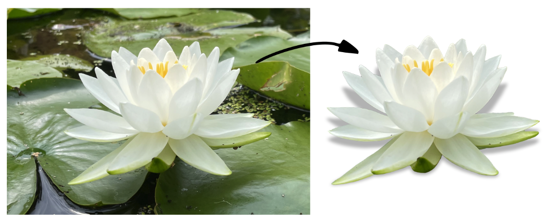 description of image