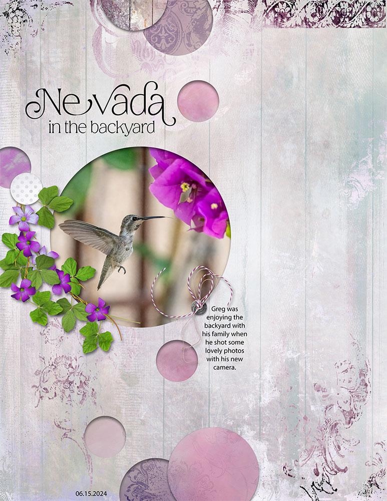 Sample Layout from the Gallery